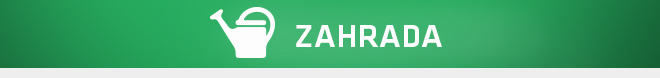 Zahrada
